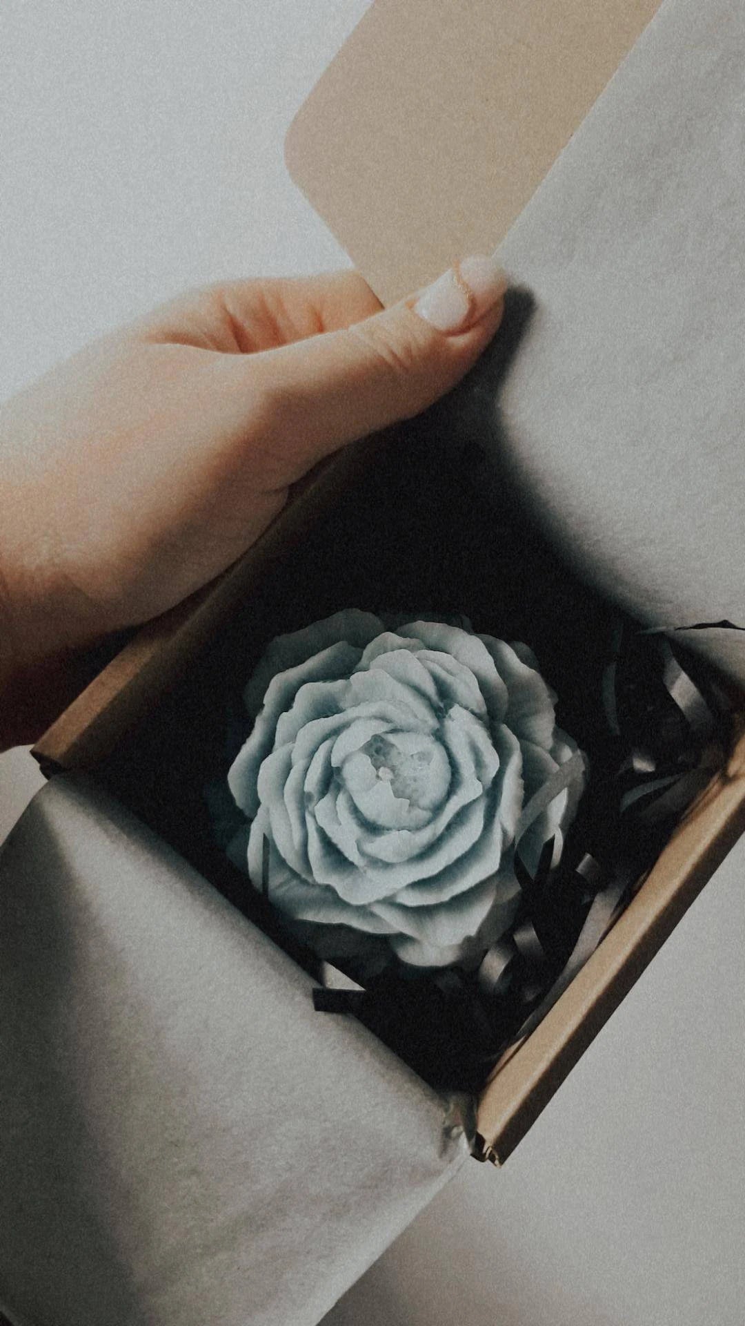 Peony Candle